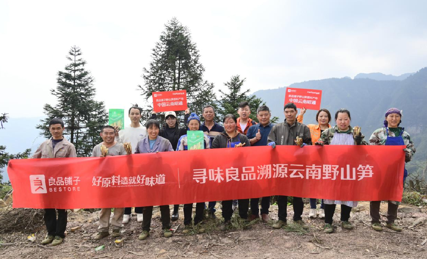 好原料造就好味道，良品鋪?zhàn)右吧焦S來(lái)自云南深山“筍中之冠”